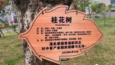 “種”希望！綠化中普，共建美麗家園